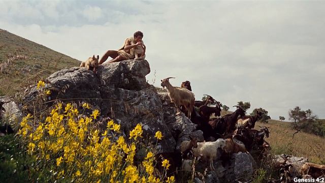 Adam & Eva und die Schlange | Was geschah wirklich im Garten Eden? смотреть онлайн