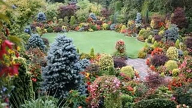 Заходите в гости