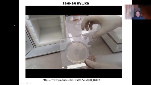 Лекция 15 (2023). Трансгенные растения.