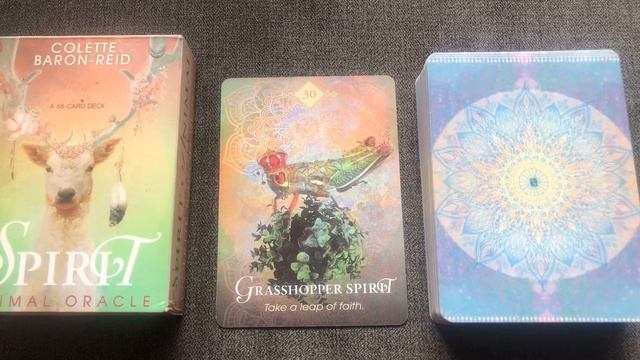The Spirit Animal Oracle 30/68 Grasshopper guide book audio description смотреть онлайн