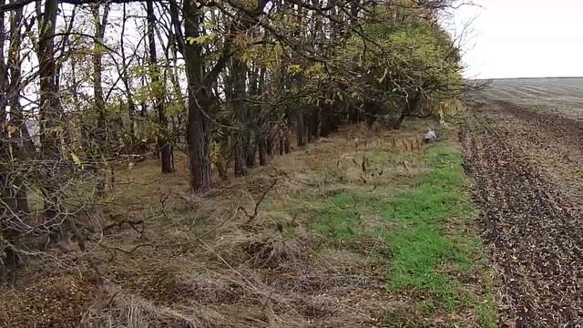 ОХОТА НА ЗАЙЦА всего лишь надо подождать