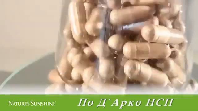 Кора Муравьиного Дерева По Д'Арко смотреть онлайн