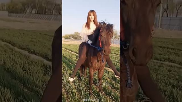 Beautiful girl riding on pony смотреть онлайн