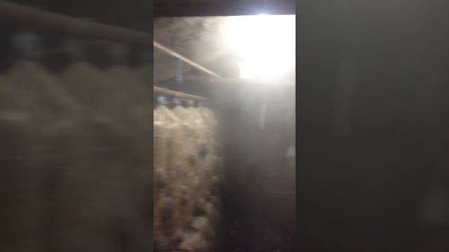 вешенка MIST MAKER делаюший туман смотреть онлайн