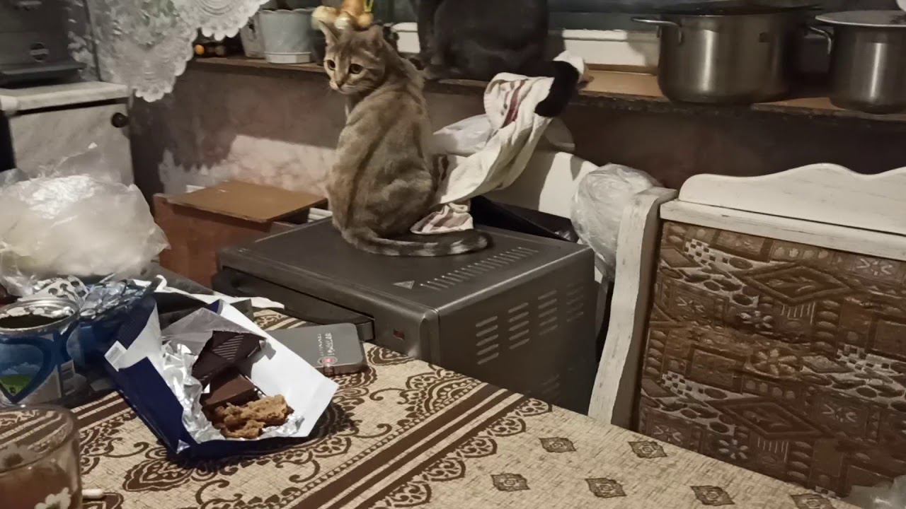 18 марта 2020 г. смотреть онлайн