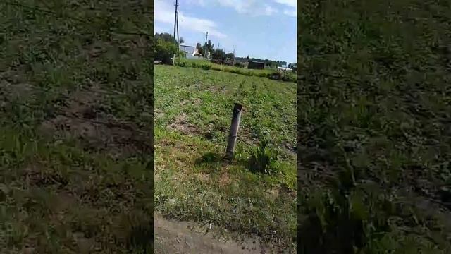 Нашествие бабочек. Дача. Жара. Июнь . смотреть онлайн