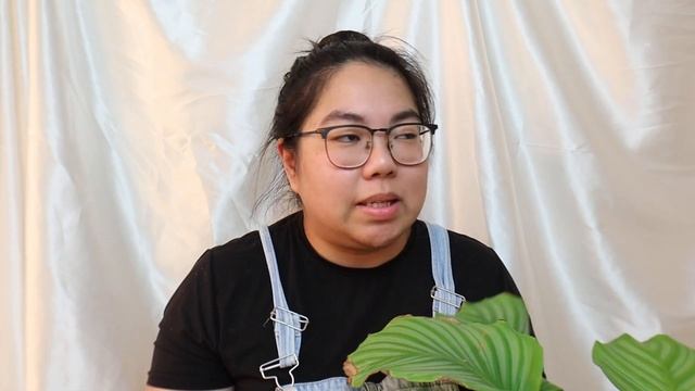 Calathea Orbifolia | 10 Month Post Repot Update! | Plant Care Tips смотреть онлайн