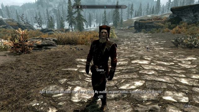 Head North! - Elder Scrolls Skyrim Gameplay - #8 - Let's Play Walkthrough