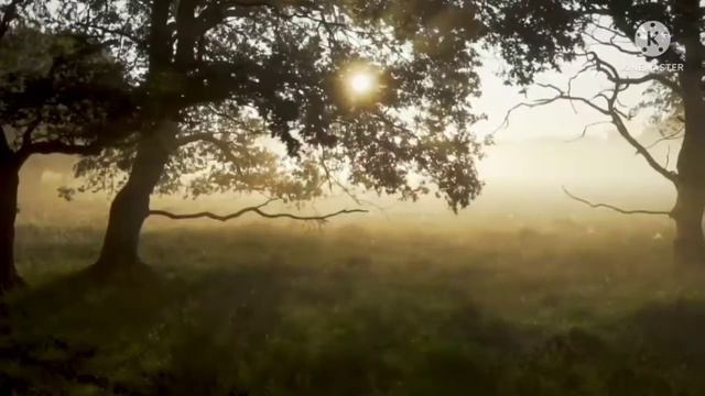 Simbex tablet use's in Urdu|Hindi|Simvastatin 10 mg | 20 mg tablet | Zocor 20 mg tablet |simbex tab смотреть онлайн