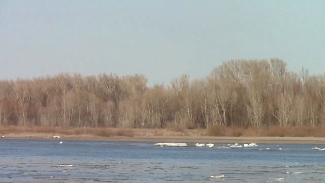 Ледоход на Иртыше.( тест камеры Canon LEGRIA HF R306 ) смотреть онлайн