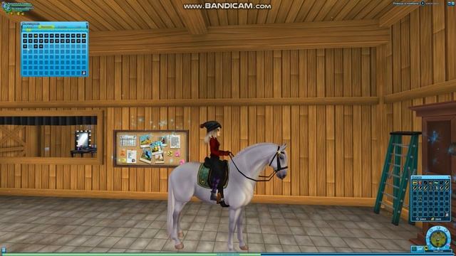 Покупка обновлённого фьорда! Смотреть до конца !!! В конце самое интересное ! Моем лошадь???? смотреть онлайн