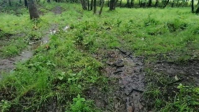 Металлокоп смотреть онлайн