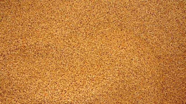 10 Самых Запретных Мест в Мире, Которые Никому Нельзя Посещать смотреть онлайн