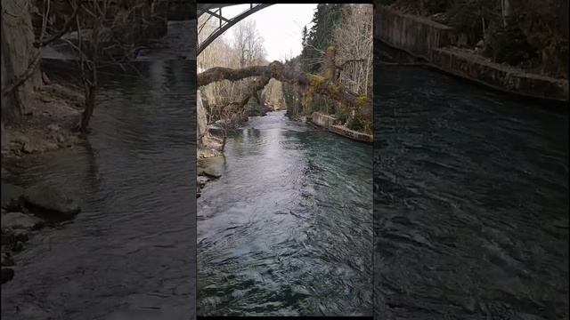 Абхазия. Каньоны на озеро Рица смотреть онлайн