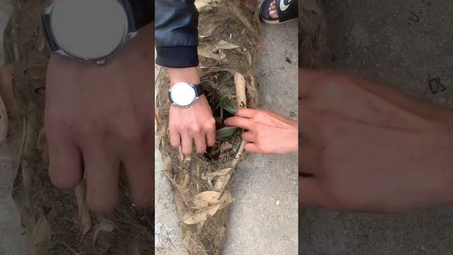 что это за место смотреть онлайн