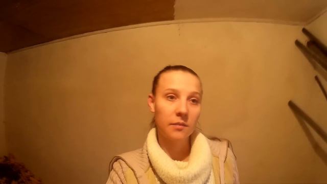 Первый снег и первая слякоть Птичье хозяйство во время холодов смотреть онлайн