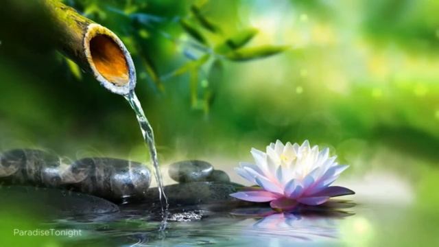 МАНТРА "ОГНЕННЫХ ГЛАЗ" смотреть онлайн