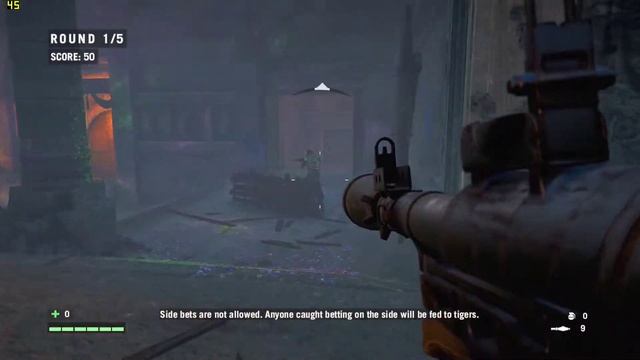 Far Cry 4 Gameplay - Arena [GTX 760 & Core i5 4670] смотреть онлайн