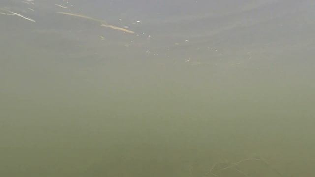 В дельту Волги. Октябрь 2019. Часть вторая. смотреть онлайн