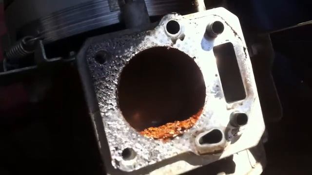 Газонокосилка Alco после плаванья на восстановление