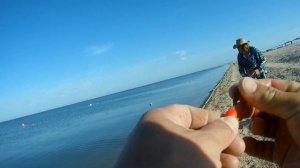 ЛОВЛЯ ПЕЛЕНГАСА НА АЗОВСКОМ МОРЕ