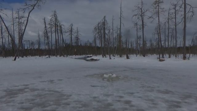 АПРЕЛЬСКАЯ РЫБАЛКА.ЛОВЛЯ ЩУКИ,ОКУНЯ И ПЛОТВЫ.APRIL FISHING. LOVLA pike, Okun and dams. смотреть онлайн