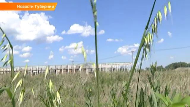 Сергеевский р он Азаров смотреть онлайн