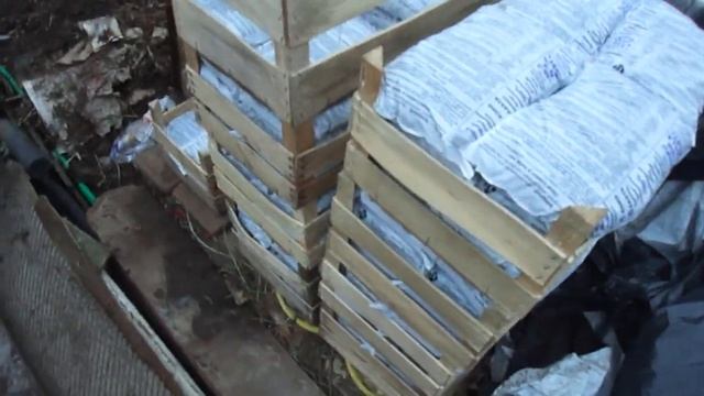 Vermikompost EIFO Вывоз с дачи 1 смотреть онлайн