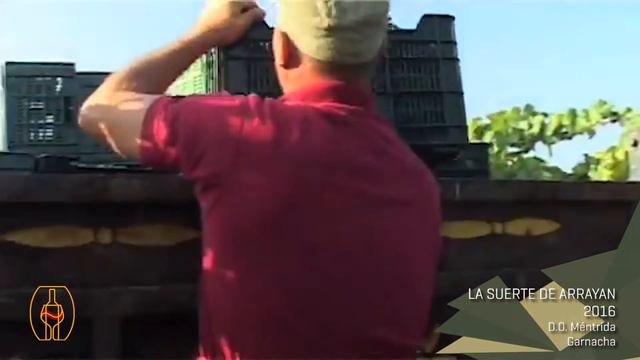 La suerte de Arrayan por Enrique Calduch смотреть онлайн