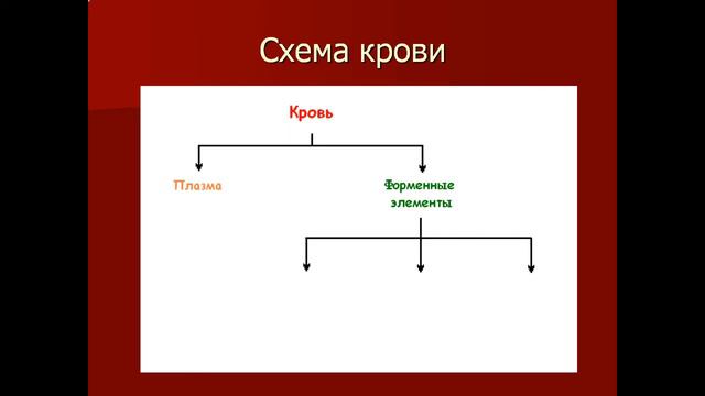 Значение крови 4 класс смотреть онлайн