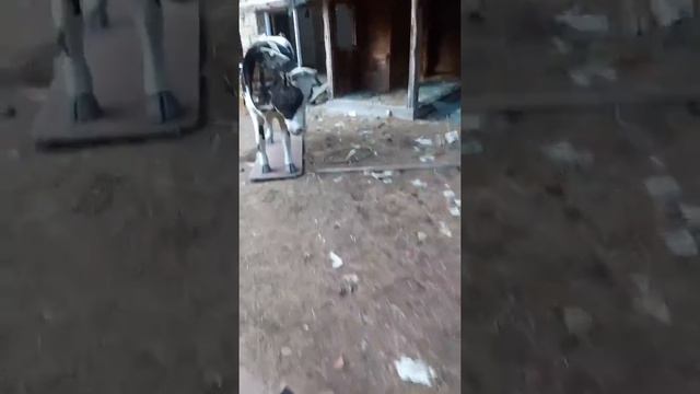 Отель заброшенный в Кемере смотреть онлайн
