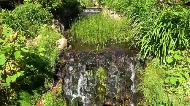 3 часа – Успокаивающий звук ручья. Ручей и пение птиц. Звуки природы. Шум ручья