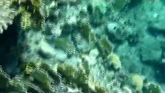красное море Дахаб.mp4 смотреть онлайн