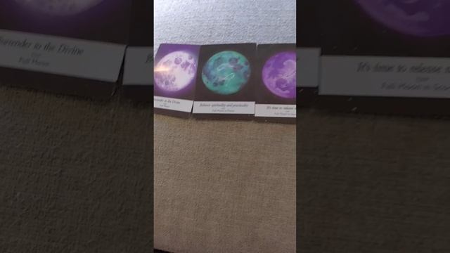 min Oracle reading!???? смотреть онлайн