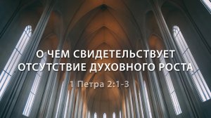 О чем свидетельствует отсутствие духовного роста | Андрей Вовк | Слово Истины