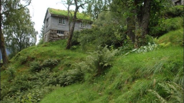 Norvège au pays des fjords et des trolls ( music) смотреть онлайн