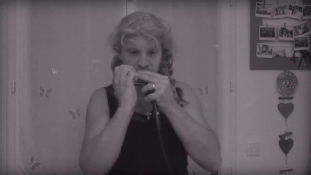 lollipop : the chordettes. Harmonica смотреть онлайн