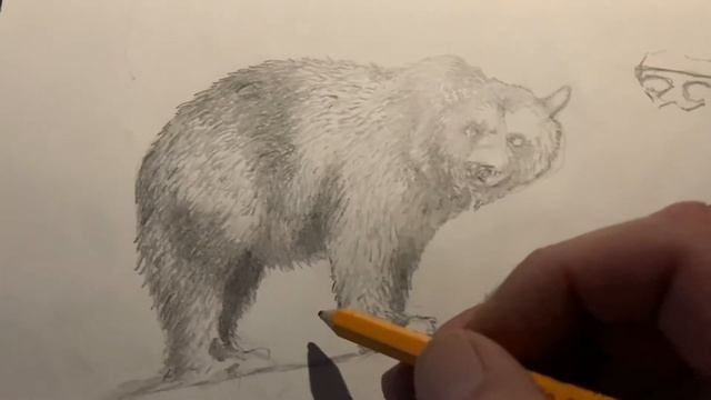 Bear Sketch: Continued смотреть онлайн