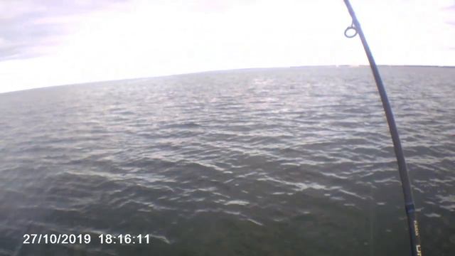 судак#джиг#цимла#2019 смотреть онлайн