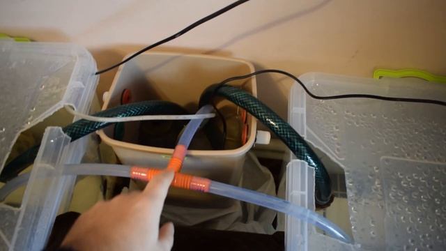 Инкубатор для личинки креветки Розенберга смотреть онлайн