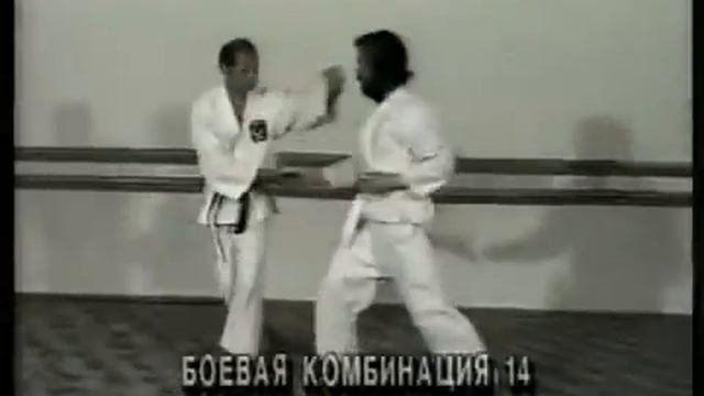 Окинавское карате Практический курс 2 29 смотреть онлайн