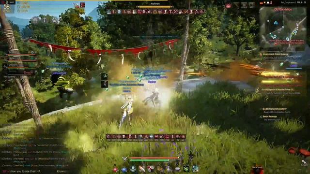 Black Desert Node WarZ #2 /// Is That a AP Valk!?!?!?! смотреть онлайн