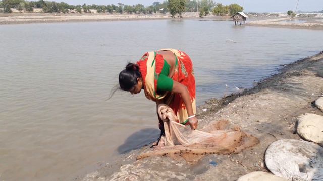 Amazing Net Fishing | Catching fish With A Cast Net By Beautiful Village Girl | @nodifishingbd9721 смотреть онлайн