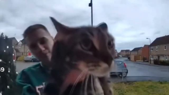 кот мяукает в камеру, но это домофон смотреть онлайн