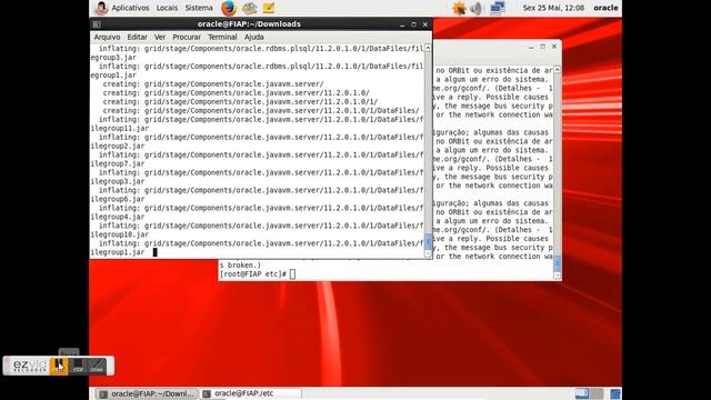 Instalando Oracle Grid no SGBD 11G смотреть онлайн