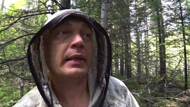 Спастись от клещей в тайге, поможет единственное средство !! смотреть онлайн