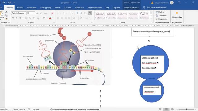 Механизмы действия антибиотиков смотреть онлайн