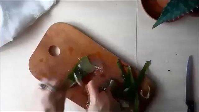 Домашний крем с Алоэ-вера/Бюджетный вариант крема/Как сделать крем/Мастер-класс смотреть онлайн