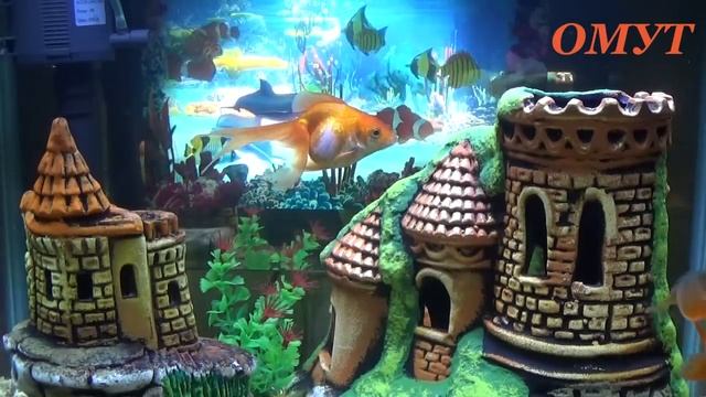 264. ПРАВИЛЬНО ВСТРЕЧАЕМ ПЯТНИЦУ 13 и ВАШИ КОММЕНТЫ... смотреть онлайн