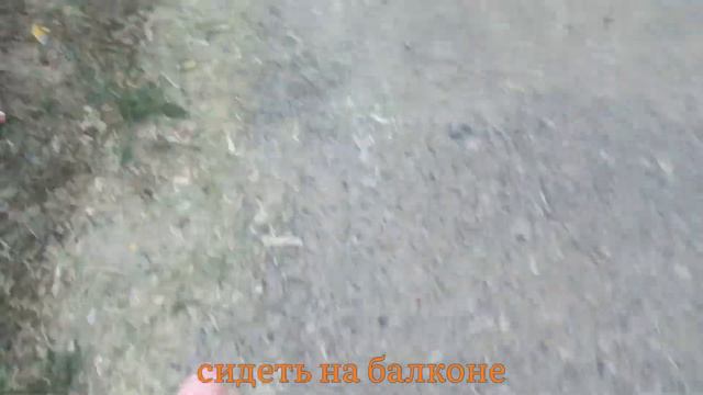 Давай не пойдем гулять? смотреть онлайн